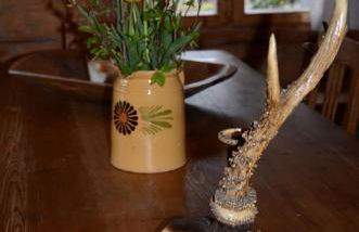 Windshausen 84 - Foto 13