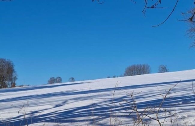 Cozy Holiday Home in Willersdorf With Pond - Photo 36