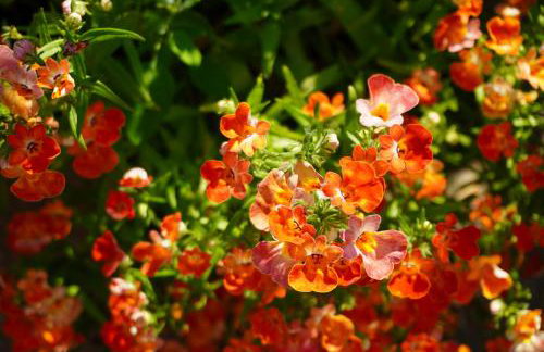 Przytulne Studio Borówkowy Zagajnik - Foto 30