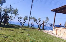 George's House - Foto 5