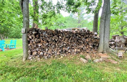 Barney's Retreat- Rustic cabin on the river! - Foto 14