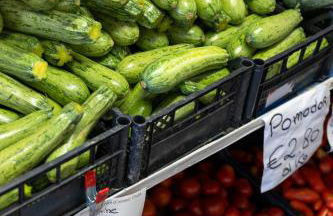 Bio Fattoria Mula D'Oro - biofattoriamuladoro it - Organic Food, Nature & Relax - Foto 37