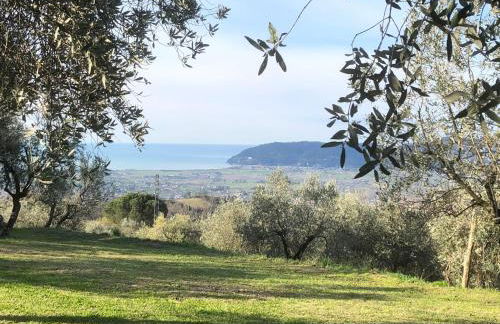 A CASA DI OLIVO - Foto 49