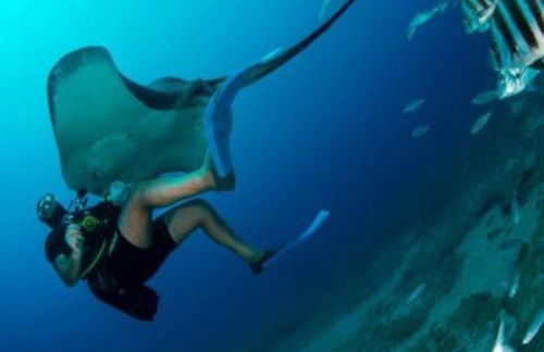 Beautiful chalet with wifi and free parking - Foto 32