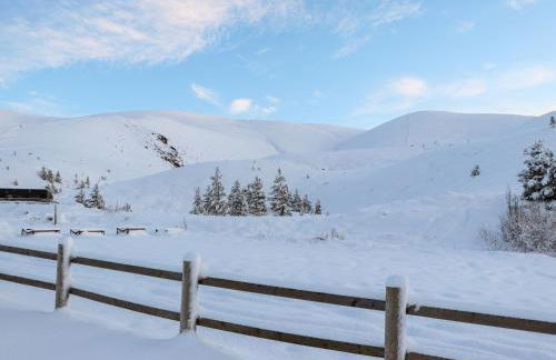 Osprey Apartment - Foto 36