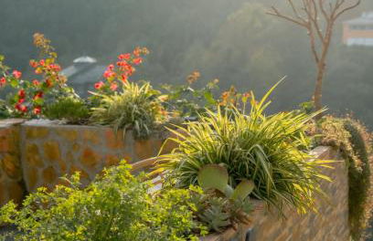 Douro Rural Home - Foto 31