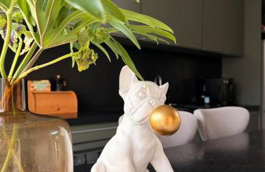 Casa para MOTO GP Goiânia - Foto 10