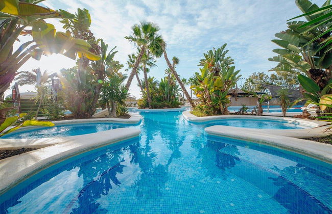 Alannia Guardamar - Foto 12