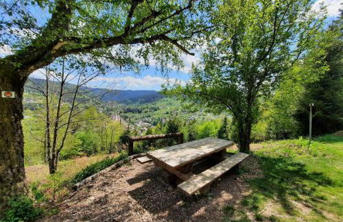 GITE DES 3 JONQUILLES - Foto 29