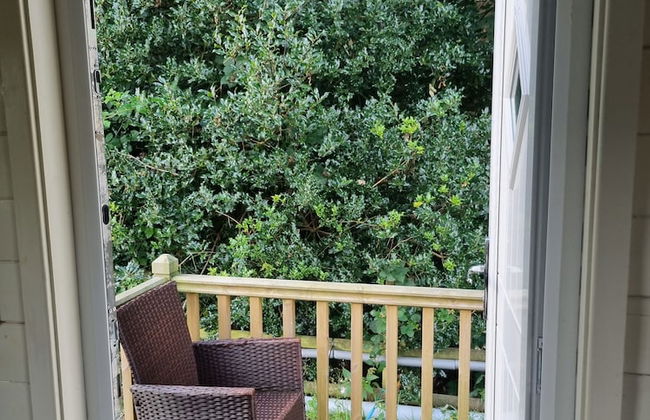 Glamping Hut - Riverview 4 - Photo 11