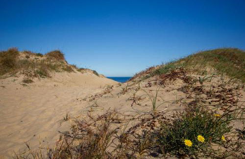 Chalet Centro Encuestre MET OLIVA NOVA - Foto 40