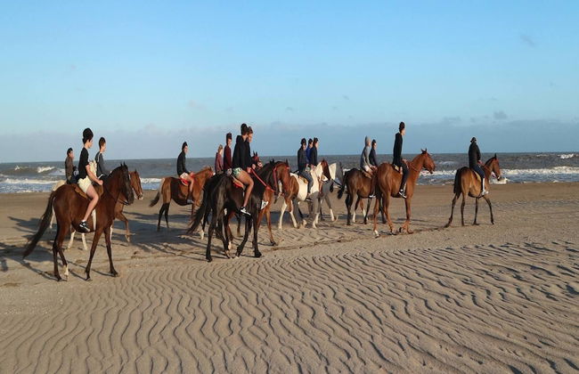 Albar Club de Mar - Foto 53