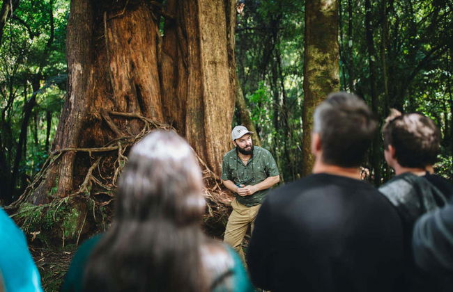 Tour por los escenarios de El Señor de los Anillos - Foto 9