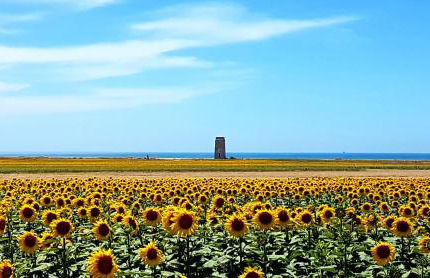 Apartamentos El Arrecife - Foto 64