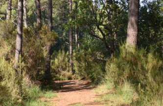 La Cachette du Lac Séjour nature et confort pour des souvenirs inoubliables - Foto 31