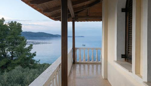 Blue Dandelion - Foto 4