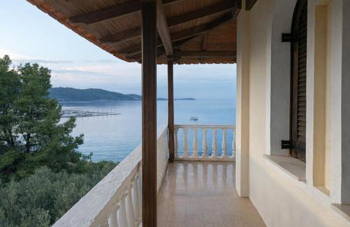 Blue Dandelion - Photo 4