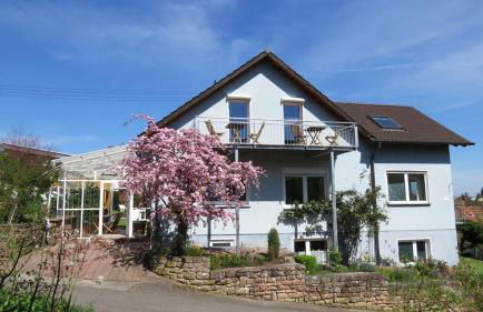 Das blaue Haus - Foto 7