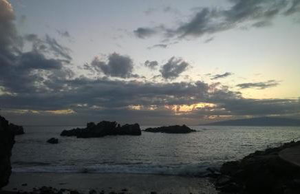 Casa Manus - Photo 2