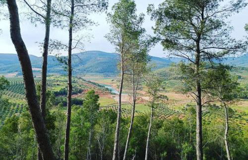 Casa del arroyo - Foto 17