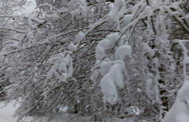 Boutique Fachwerkhaus Thirty Five - Foto 54