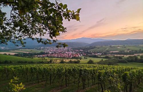 Bischou, soyez chez vous ! - Foto 29