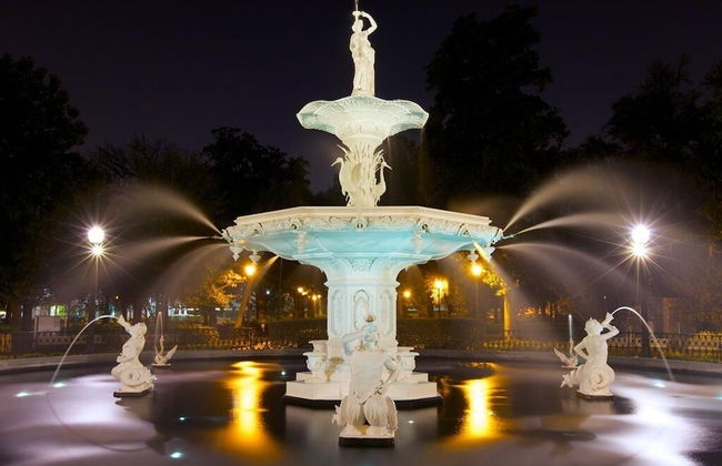 Waldburg Garden - Photo 22