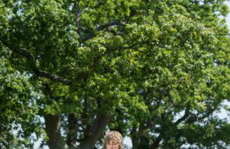 Park House Hotel - Foto 45