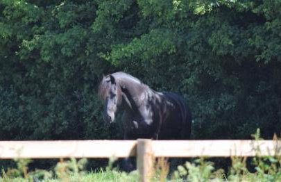 Forton House Shepherd's Huts - Foto 35