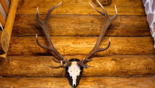 Holzhaus Wildsbergblick - Foto 4