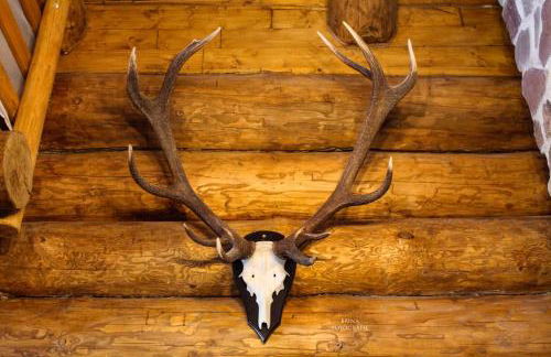 Holzhaus Wildsbergblick - Foto 4