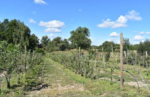 Apfelhof Biesenbrow - Foto 28