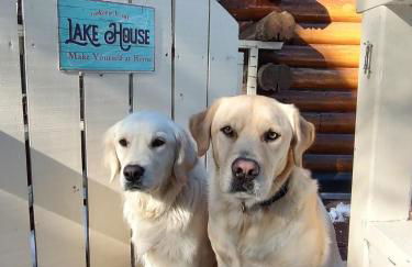 Comfortable, charming, quiet Lake House - Foto 11