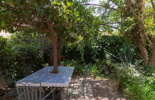 Viña Chica - Foto 66