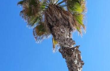 FiveStepsToSea - Beach Apartment Valencia - Foto 34