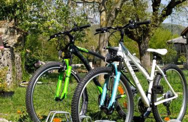 Apartment PARENZANA, little row HOUSE with big green yard in central Istria - Foto 9