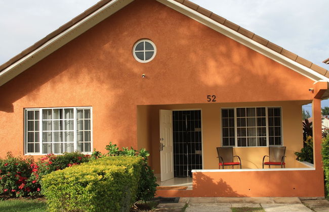 Soleil Hartland Palms - Foto 25