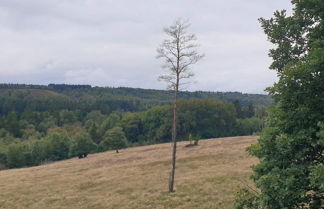 Bright Cottage Retreat in Silkeborg-by Traum - Foto 11