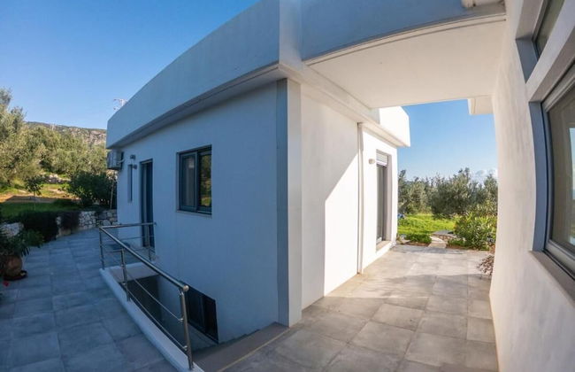 The Olive Grove Tsapi - Foto 10