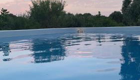 Il Trullo di Francesca - Foto 5