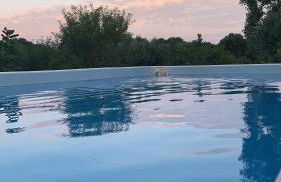 Il Trullo di Francesca - Foto 5