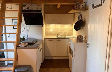 Ferienwohnung mit sonniger Dachterrasse am Pferdehof - Foto 8