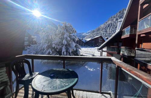 Aux Pieds des pistes en plein soleil - Foto 1