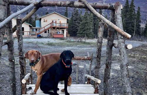 Knik Wilderness Getaway - Foto 20