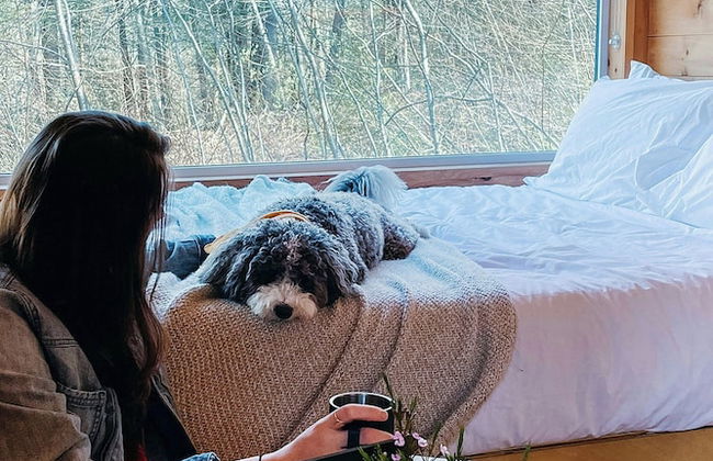 Postcard Cabins Talladega Valley, Outdoor Collection by Marriott Bonvoy - Foto 13