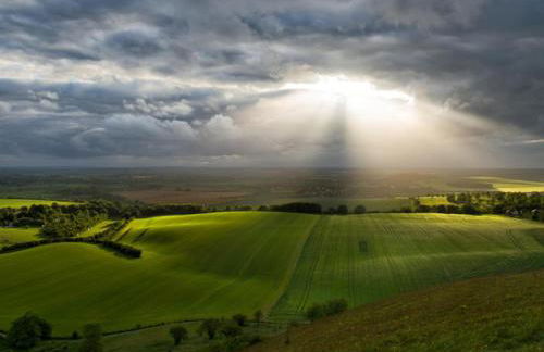 4 Bed in Dunstable oc-93632 - Photo 30