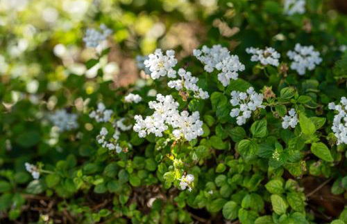 La Casita de Tafira - Foto 32