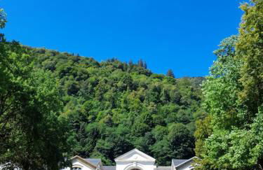 T2bis, HYPER CENTRE FACE LES THERMES - Foto 9