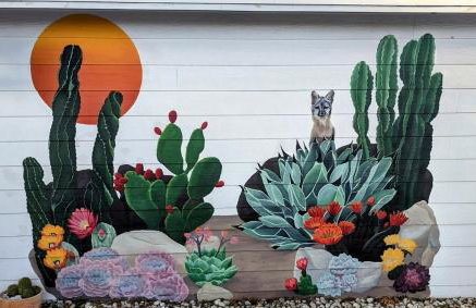 Central Austin Guest House - Foto 25