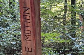 Ferienwohnung Högenbachtal - Foto 26